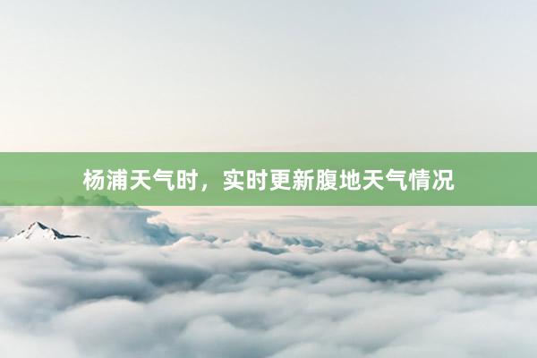 杨浦天气时，实时更新腹地天气情况